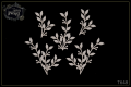 344e7cc08d4a9b29af0d9cb9ab581a3c