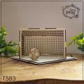 T583A.png