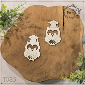 Tekturka -T085- SZKOŁA - sowa absolwentka - 2 szt