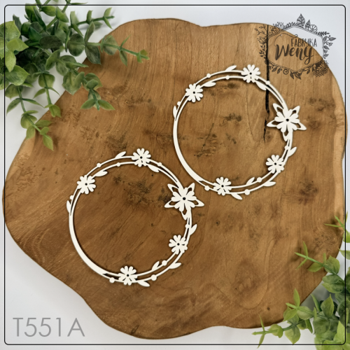T551A.png