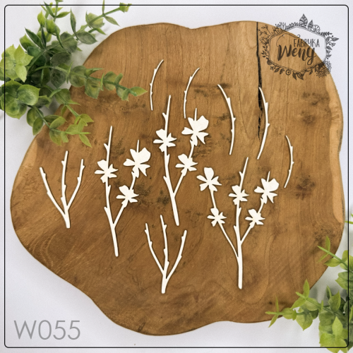 W055.png